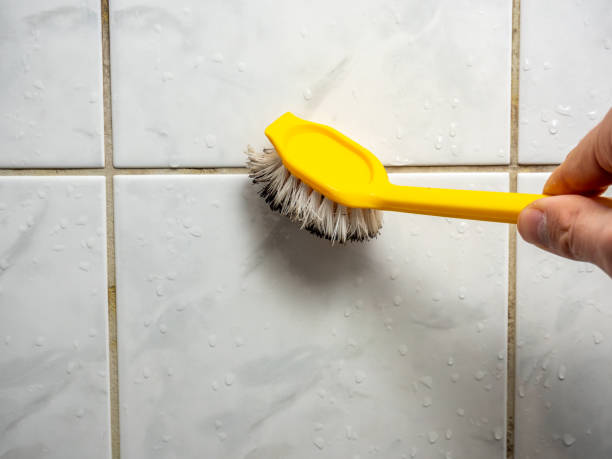 Best Mold Damage Repair  in Mitchell, IL